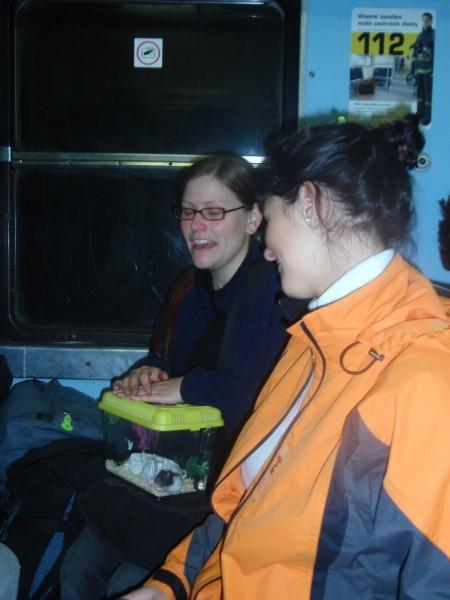 img002
